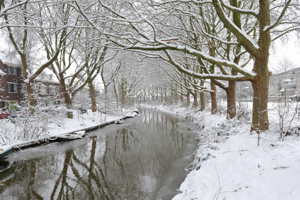 Lopen in de winter